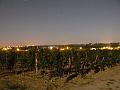 Vineyards near Saint-Émilion at night P1140310